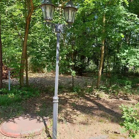 Apartment Waldfrieden Am Scharmutzelsee Bad Saarow