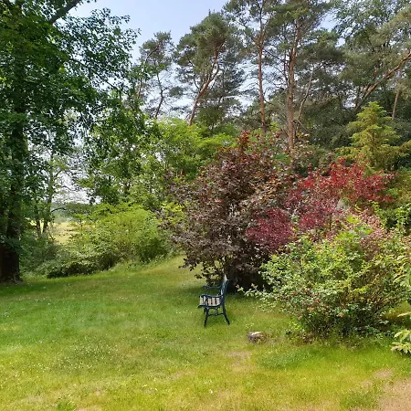Waldfrieden Am Scharmutzelsee